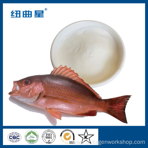 Marine cod skin collagen powder